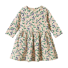 Load image into Gallery viewer, Nature Baby Long Sleeve Twirl Dress - Grande Briarwood
