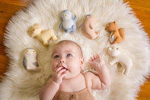 Load image into Gallery viewer, Tikiri My First Arctic Animals - Natural Rubber Teether Toys
