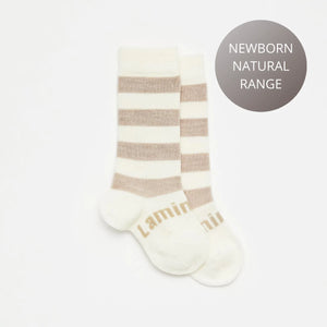 Lamington Merino Knee High Socks - Dandelion