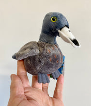 Load image into Gallery viewer, Whio Whio (Blue Duck) Finger Puppet 12cm
