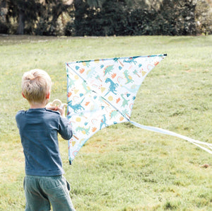 Lofty Kites - Happy Days - Cool kites for adventurous kids