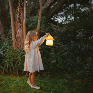 Little Belle Fairy Carry Lantern