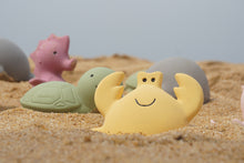 Load image into Gallery viewer, Tikiri My First Ocean Buddies - Natural Rubber Teether Toys
